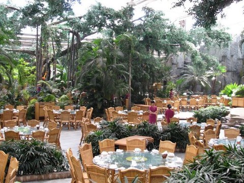 河南鄭州聚一墻體彩繪—想知道這幾家店面生意是怎樣火的嗎？帶你一起去看看