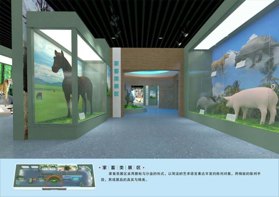 【標本館壁畫項目案例】——廣西柳州獸醫(yī)畜牧學校